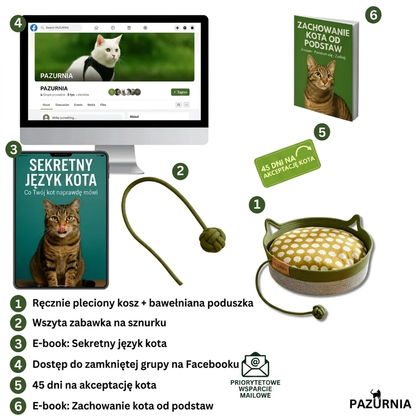 Kosz Instynkt | Dla kota, który drapie meble i ignoruje legowiska