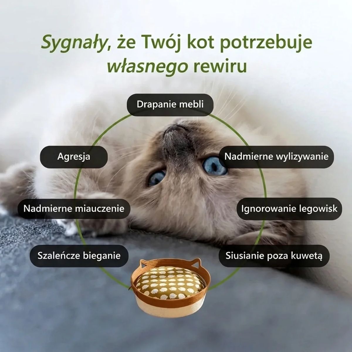 Kosz Instynkt | Dla kota, który drapie meble i ignoruje legowiska