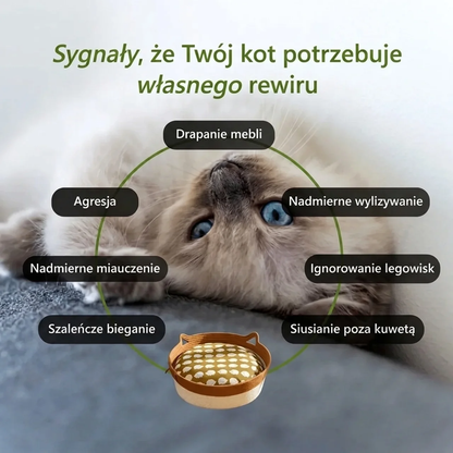 Kosz Instynkt | Dla kota, który drapie meble i ignoruje legowiska